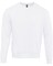 Next Level® Apparel Santa Cruz Crewneck Long Sleeve Sweatshirt